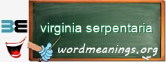 WordMeaning blackboard for virginia serpentaria